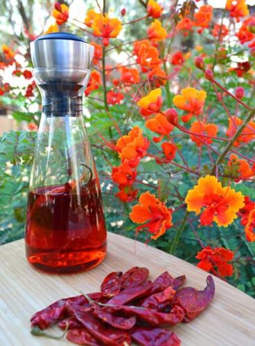 Kick-in-the-Pants Red Chili Oil Recipe